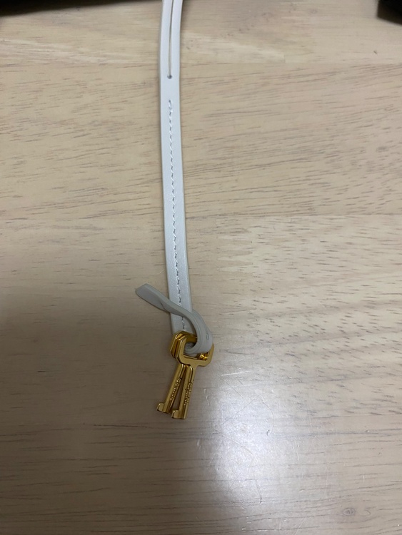 セリーヌ  （ブランドバッグ）の商品画像 - 査定依頼日：2026年2月3日 - 最高査定価格：130,000円