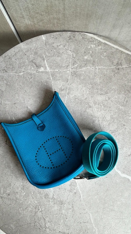 エブリンミニ（ブランドバッグ）の商品画像 - 査定依頼日：2026年1月16日 - 最高査定価格：330,000円