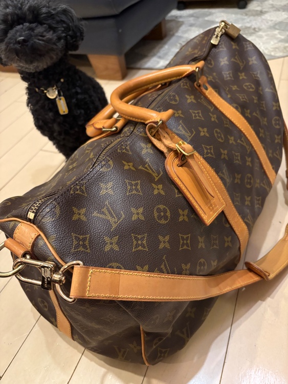 ルイヴィトン モノグラム （ブランドバッグ）の商品画像 - 査定依頼日：2026年1月5日 - 最高査定価格：80,000円