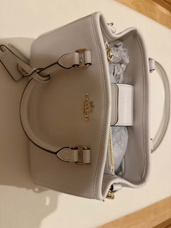 その他 コーチ （ブランドバッグ）の商品画像 - 査定依頼日：2025年11月24日 - 最高査定価格：3,000円