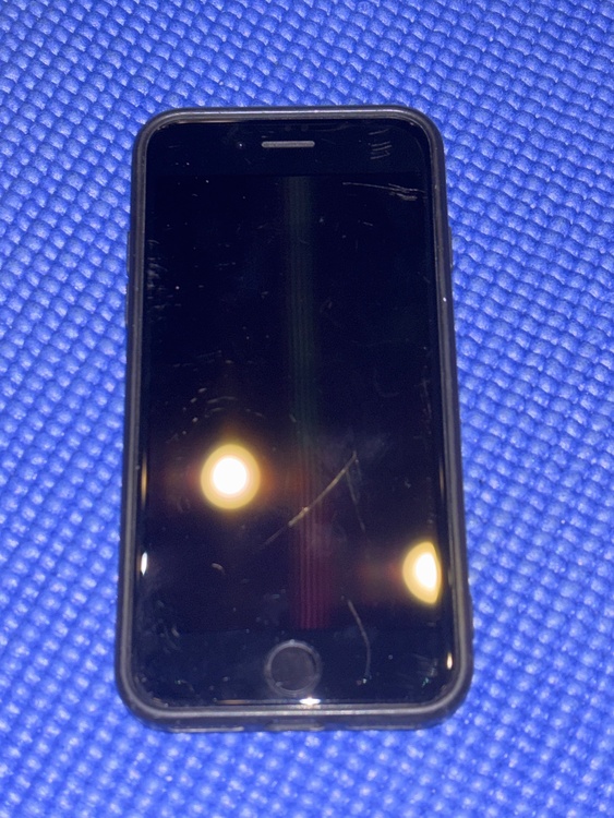 iPhone iPhone SE (第 2 世代) 64GB SIMフリー（スマホ）の商品画像 - 査定依頼日：2026年7月7日 - 最高査定価格：8,000円
