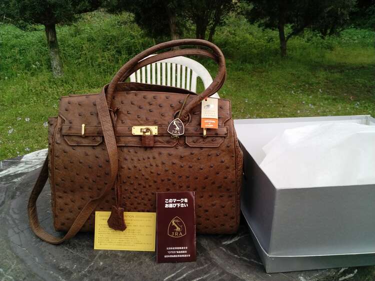 オーストリッチ（ブランド財布・小物）の商品画像 - 査定依頼日：2025年4月21日