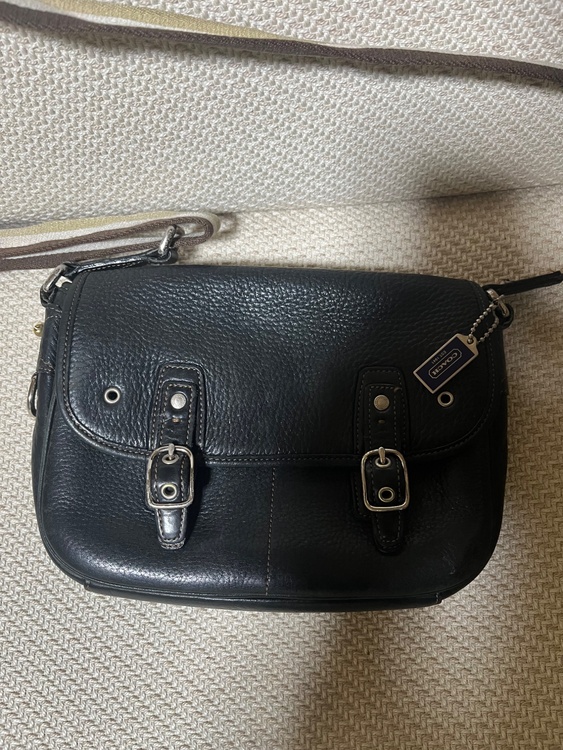 その他 コーチ （ブランドバッグ）の商品画像 - 査定依頼日：2026年2月5日 - 最高査定価格：2,000円