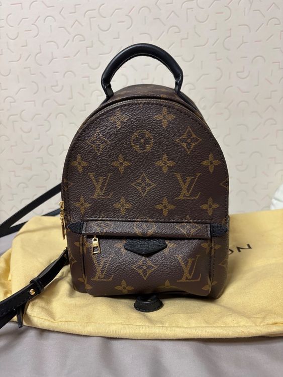 バックパックMINI  パームスプリングス（ブランドバッグ）の商品画像 - 査定依頼日：2025年6月16日 - 最高査定価格：220,000円