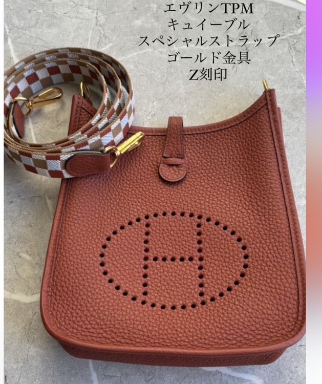 エブリンミニ（ブランドバッグ）の商品画像 - 査定依頼日：2026年1月16日 - 最高査定価格：320,000円