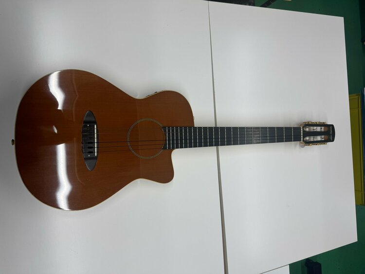 CARRUTHERS　GUITARS（ピアノ・楽器・PA機材）の商品画像 - 査定依頼日：2026年2月13日 - 最高査定価格：180,000円