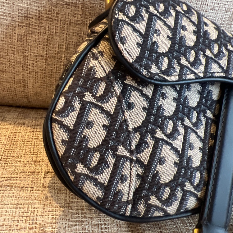 サドルバッグ（ブランドバッグ）の商品画像 - 査定依頼日：2026年4月7日 - 最高査定価格：260,000円