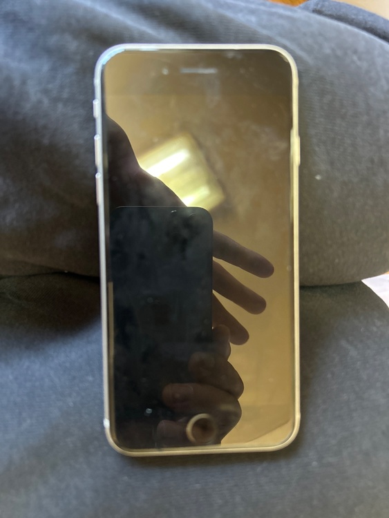 iPhone SE (第 3 世代) 64GB SIMフリー（スマホ）の商品画像 - 査定依頼日：2026年5月4日 - 最高査定価格：20,000円