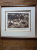 クルト・マイヤ－=エ－ベルハルトの版画 雌鹿と二頭の子鹿（美術品・骨董品）の商品画像 - 査定依頼日：2026年8月23日 - 最高査定価格：1,500円