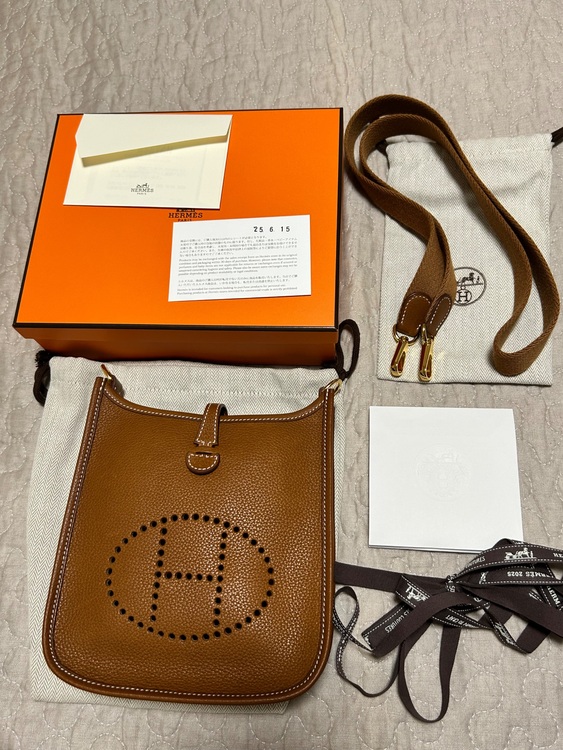 エヴリンtpm（ブランドバッグ）の商品画像 - 査定依頼日：2025年7月31日 - 最高査定価格：380,000円