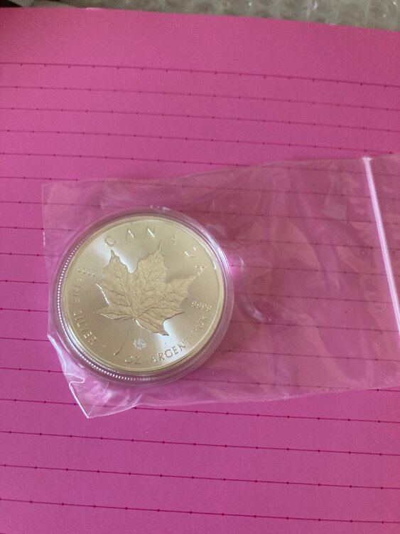 ブリタニア、リバティ、メープルリーフ、イーグル、全てシルバー999（金・貴金属）の商品画像 - 査定依頼日：2025年3月8日 - 最高査定価格：30,000円