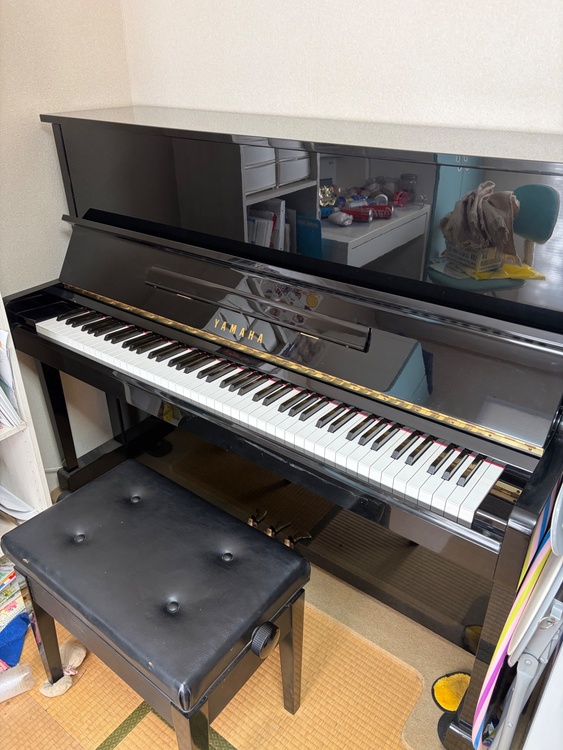 U10BI（ピアノ・楽器・PA機材）の商品画像 - 査定依頼日：2026年3月29日 - 最高査定価格：10,000円