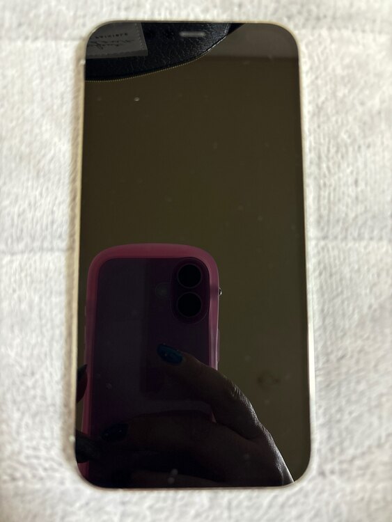 iPhone12 Pro（スマホ）の商品画像 - 査定依頼日：2025年5月1日 - 最高査定価格：28,000円