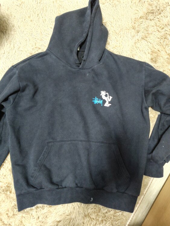 STUSSYのパーカー1990年代アメリカ製（古着・ファッション）の商品画像 - 査定依頼日：2026年4月19日 - 最高査定価格：100,000円