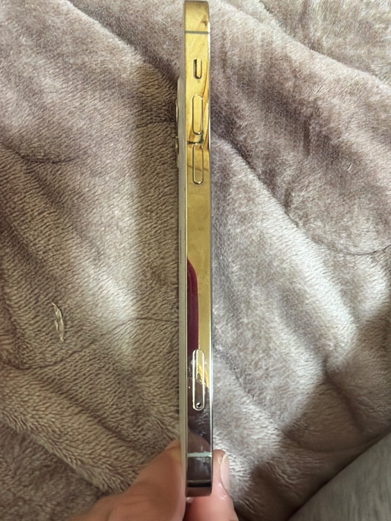 iPhone 12 Pro 256GB Softbank（スマホ）の商品画像 - 査定依頼日：2026年3月31日 - 最高査定価格：31,000円