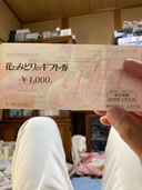 花と緑（チケット・金券）の商品画像 - 査定依頼日：2025年10月2日 - 最高査定価格：700円