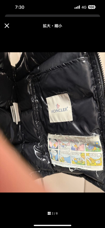 ダウンベスト（古着・ファッション）の商品画像 - 査定依頼日：2026年1月5日 - 最高査定価格：45,000円