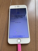 iPhone iPhone SE (第 2 世代) 64GB SIMフリー（スマホ）の商品画像 - 査定依頼日：2026年5月20日 - 最高査定価格：10,000円