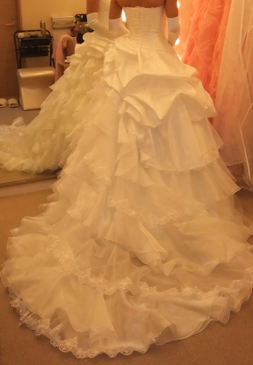 ウェディングドレス（古着・ファッション）の商品画像 - 査定依頼日：2025年8月24日 - 最高査定価格：10,000円