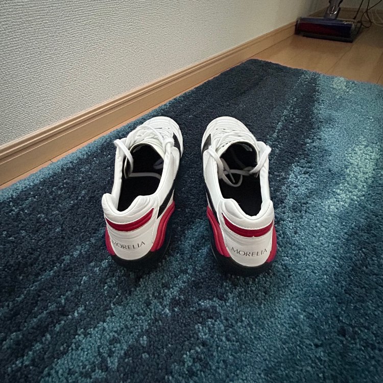 MIZUNO モレリアウェーブ　28.5cm（その他のスポーツ用品）の商品画像 - 査定依頼日：2023年6月2日