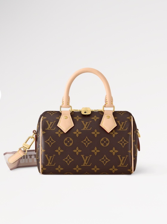 M46222（ブランドバッグ）の商品画像 - 査定依頼日：2026年1月28日 - 最高査定価格：280,000円