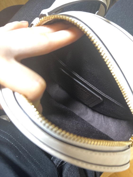 その他 コーチ （ブランドバッグ）の商品画像 - 査定依頼日：2025年6月28日 - 最高査定価格：5,000円