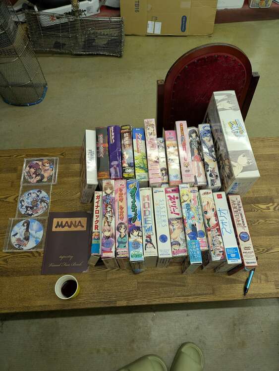 18禁パソコンゲーム（CD・DVD）の商品画像 - 査定依頼日：2025年5月10日 - 最高査定価格：3,800円