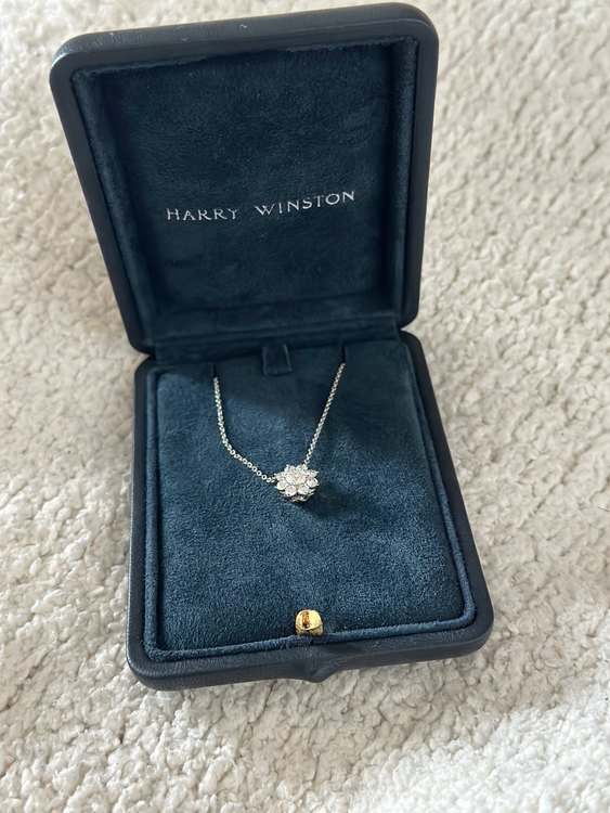 ハリーウィンストン　サンフラワー（宝石）の商品画像 - 査定依頼日：2022年11月21日 - 最高査定価格：700,000円