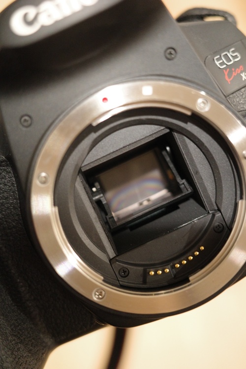 EOS Kissx10i ダブルズームキット　＋50mm単焦点レンズ（カメラ）の商品画像 - 査定依頼日：2026年8月12日 - 最高査定価格：80,000円