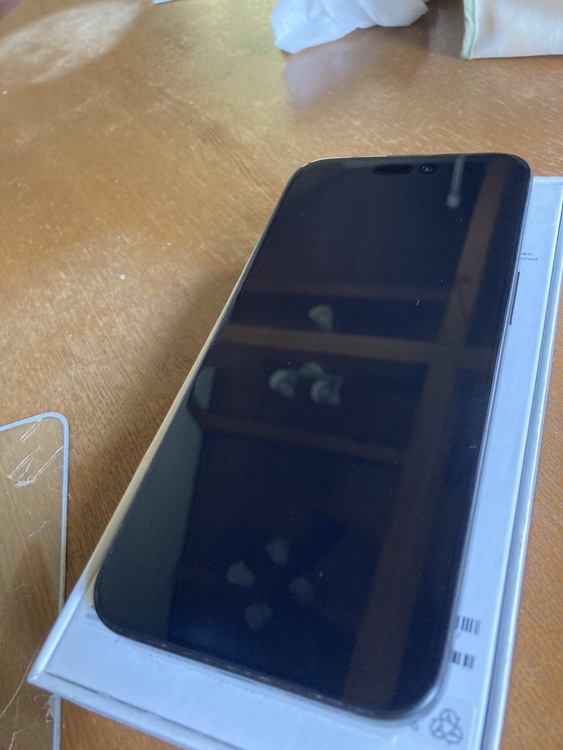 iPhone iPhone 15 Pro Max 256GB SIMフリー（スマホ）の商品画像 - 査定依頼日：2026年5月20日 - 最高査定価格：90,000円