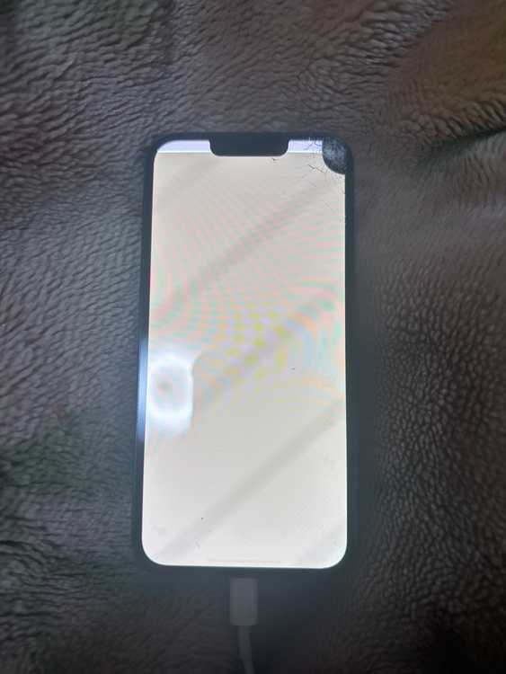 iPhone 13 Pro 256GB au（スマホ）の商品画像 - 査定依頼日：2026年3月1日 - 最高査定価格：31,000円