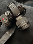 Panasonic LUMIX DC-GH5M2M（カメラ）の商品画像 - 査定依頼日：2026年7月23日 - 最高査定価格：99,000円