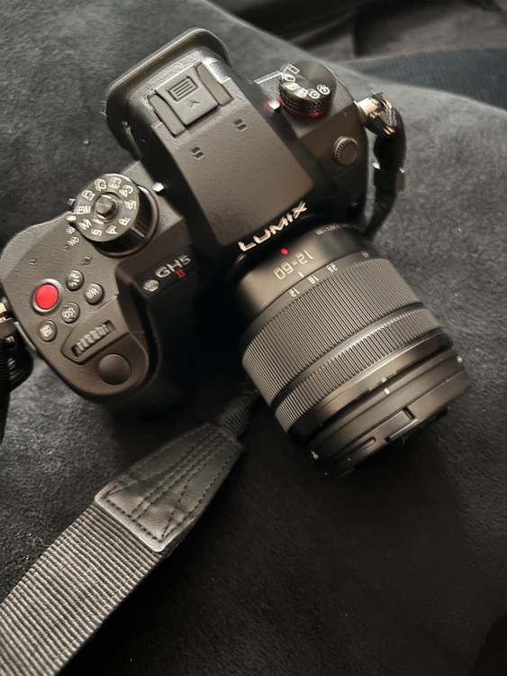 Panasonic LUMIX DC-GH5M2M（カメラ）の商品画像 - 査定依頼日：2026年7月23日 - 最高査定価格：99,000円