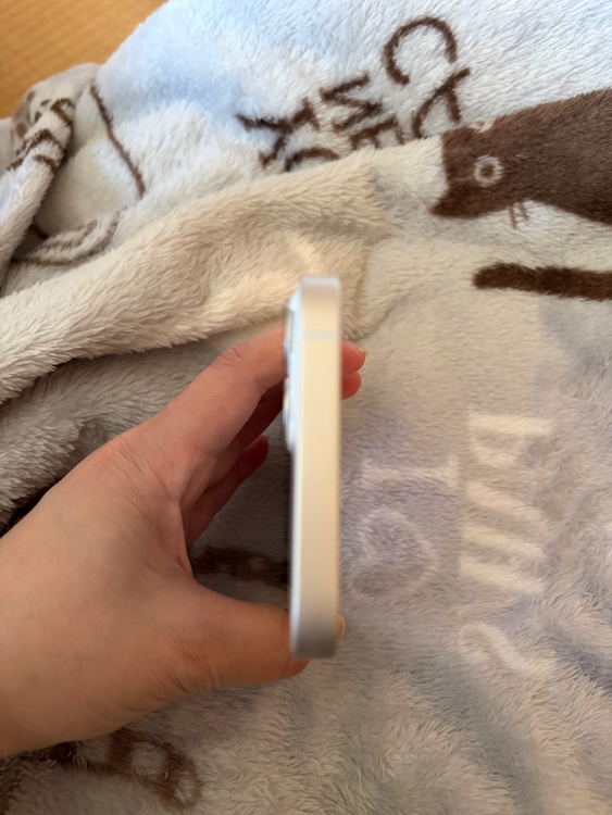 iPhone iPhone 13 128GB Softbank（スマホ）の商品画像 - 査定依頼日：2026年6月19日 - 最高査定価格：32,500円