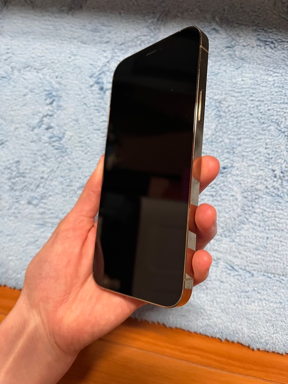 iPhone 12 Pro 256GB SIMフリー（スマホ）の商品画像 - 査定依頼日：2026年2月27日 - 最高査定価格：31,000円