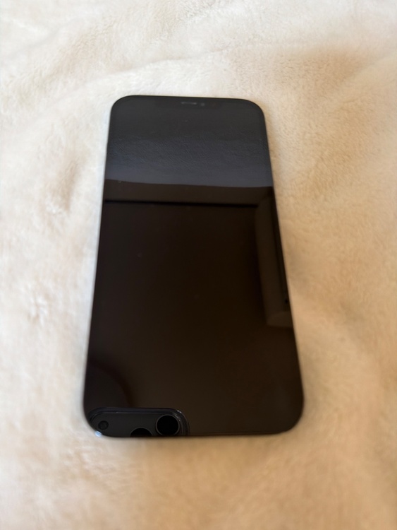 iPhone 12 Pro Max 256GB SIMフリー（スマホ）の商品画像 - 査定依頼日：2026年2月27日 - 最高査定価格：47,000円