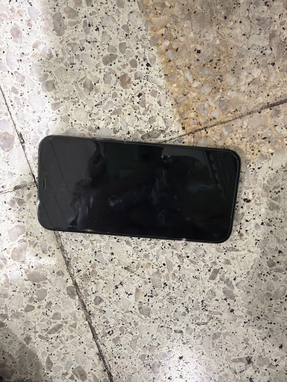 iPhone 12 Pro 256GB au（スマホ）の商品画像 - 査定依頼日：2026年3月14日 - 最高査定価格：31,000円