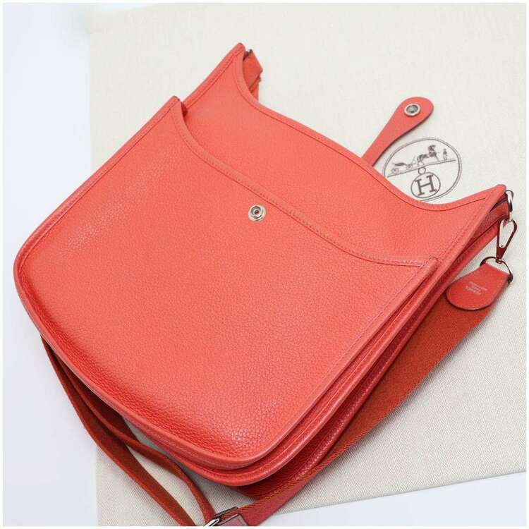 エブリンⅢ（ブランドバッグ）の商品画像 - 査定依頼日：2025年4月23日 - 最高査定価格：250,000円