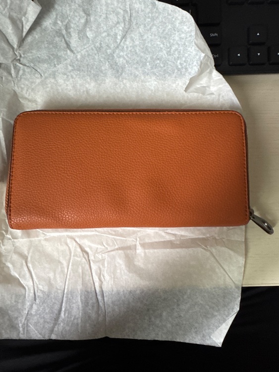 その他 コーチ （ブランドバッグ）の商品画像 - 査定依頼日：2025年6月8日 - 最高査定価格：3,000円