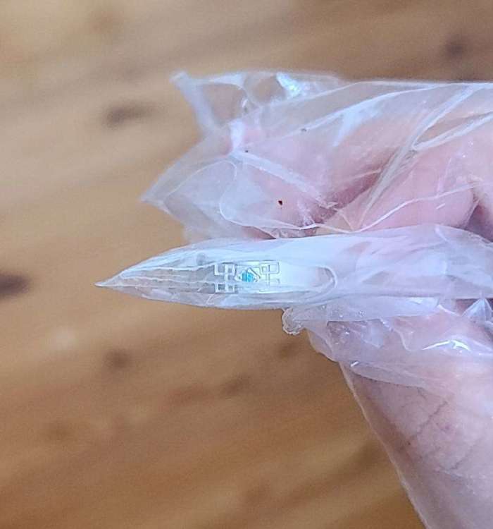 鬼滅の刃 ツイステッドワンダーランド シルバーリング（宝石）の商品画像 - 査定依頼日：2023年2月8日 - 最高査定価格：2,000円