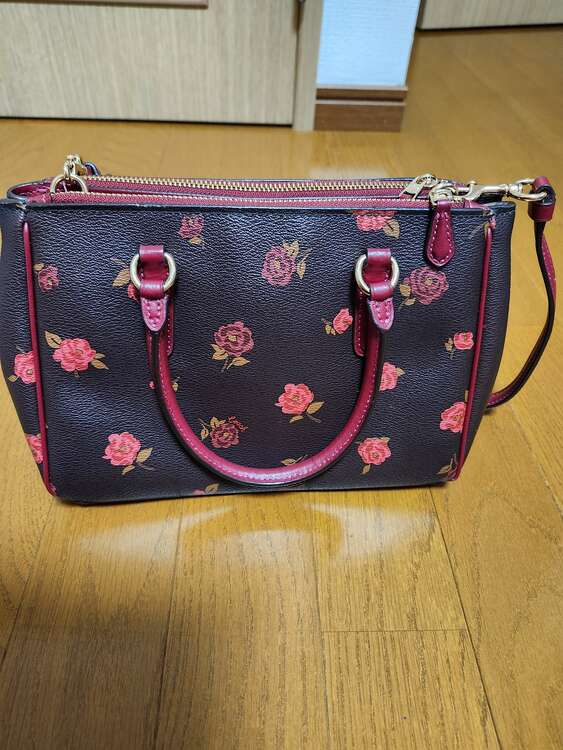 その他 コーチ （ブランドバッグ）の商品画像 - 査定依頼日：2025年3月30日 - 最高査定価格：5,000円