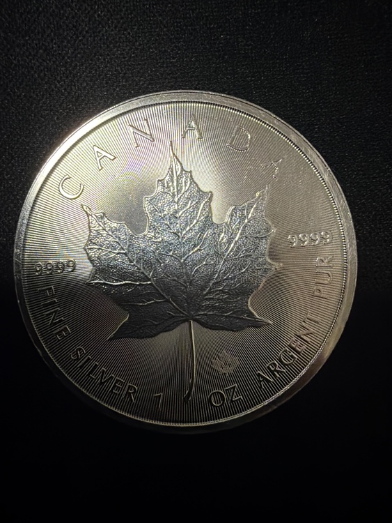 メイプルリーフ1oz（金・貴金属）の商品画像 - 査定依頼日：2026年1月10日 - 最高査定価格：2,000円