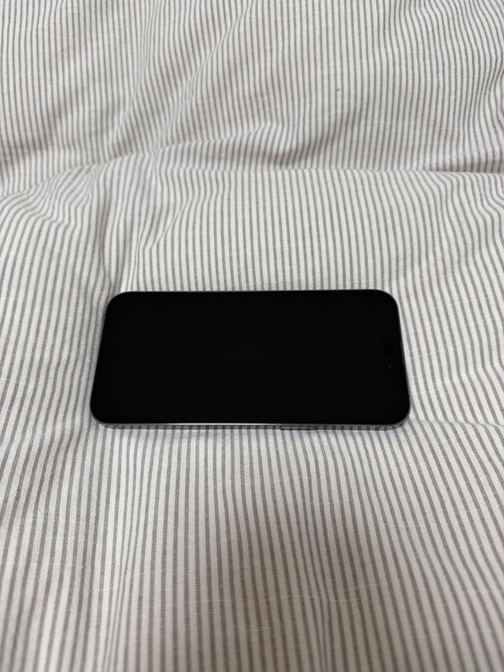 iPhone14ProMax（スマホ）の商品画像 - 査定依頼日：2026年1月22日 - 最高査定価格：78,000円