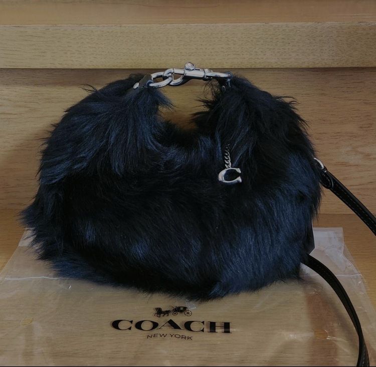 その他 コーチ （ブランドバッグ）の商品画像 - 査定依頼日：2026年4月11日 - 最高査定価格：2,500円