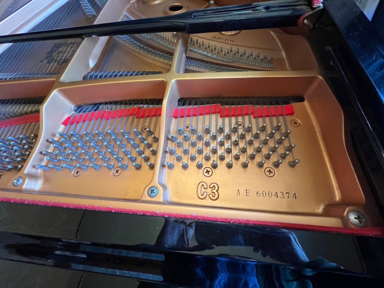 C3AE6004374（ピアノ・楽器・PA機材）の商品画像 - 査定依頼日：2025年11月29日 - 最高査定価格：3,000円