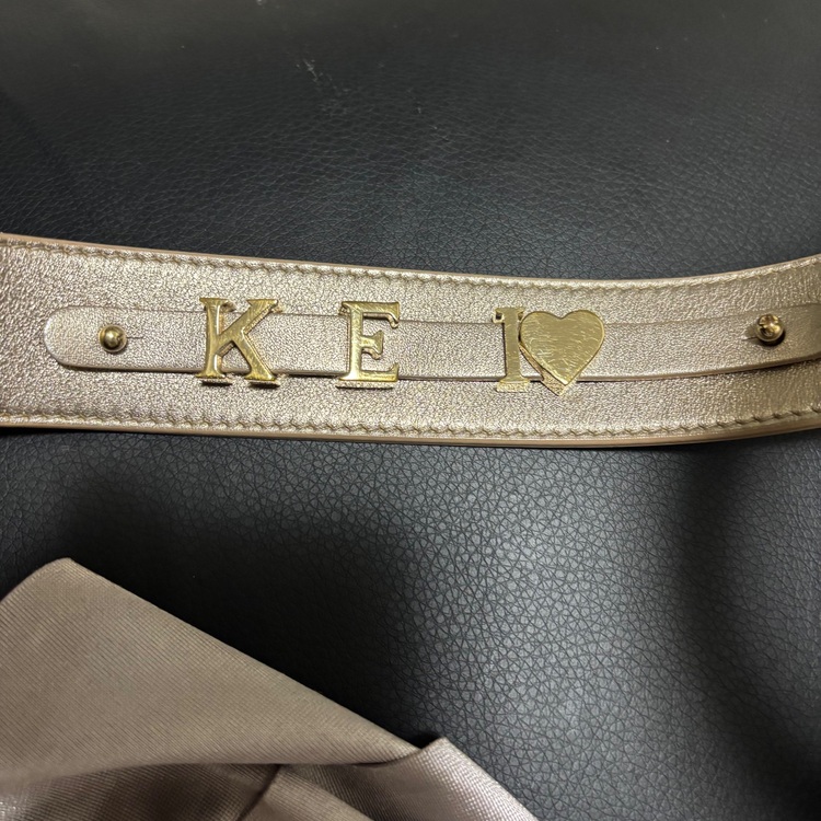 ディオール  （ブランドバッグ）の商品画像 - 査定依頼日：2025年7月18日 - 最高査定価格：250,000円