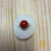 血赤珊瑚のプラチナリング（金・貴金属）の商品画像 - 査定依頼日：2026年3月28日 - 最高査定価格：100,000円