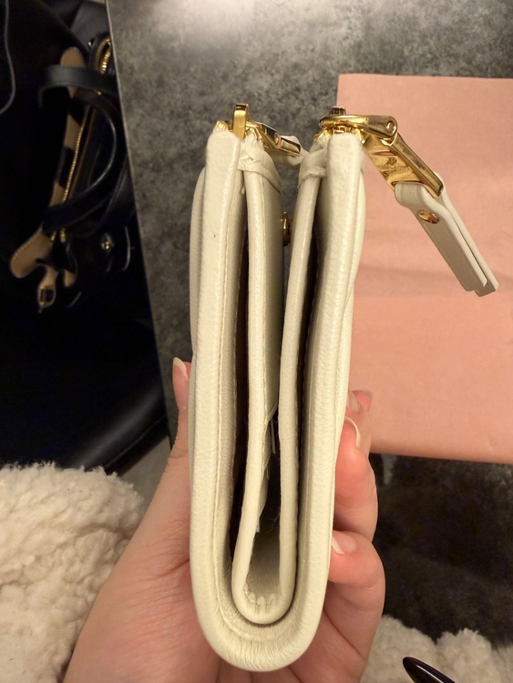 ミュウミュウ  （ブランドバッグ）の商品画像 - 査定依頼日：2026年1月28日 - 最高査定価格：50,000円