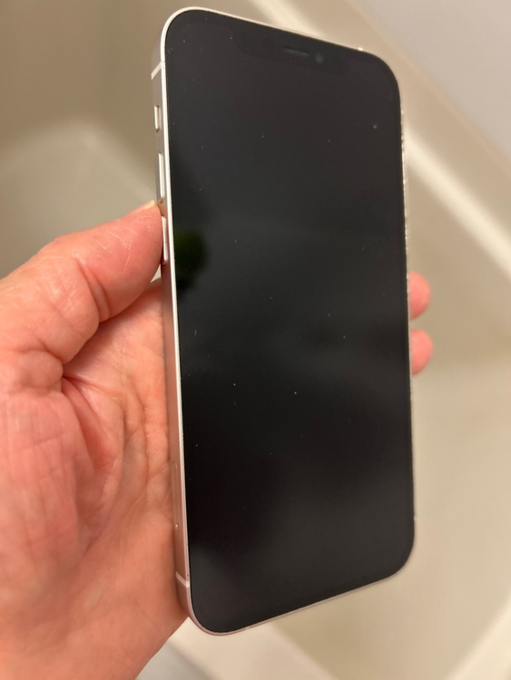 iPhone iPhone 12 64GB Softbank（スマホ）の商品画像 - 査定依頼日：2026年8月17日 - 最高査定価格：20,500円