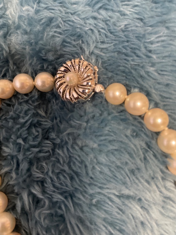 真珠　ネックレス（宝石）の商品画像 - 査定依頼日：2025年11月9日 - 最高査定価格：7,000円